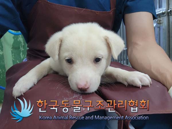한국동물구조관리협회_441406202401642